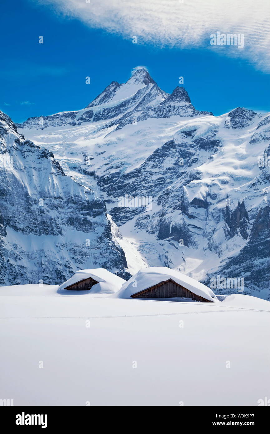 Teilweise Gebäude auf der Piste vor dem schreckhorn Berg, Grindelwald begraben, Jungfrau Region, Berner Oberland, Schweiz Stockfoto