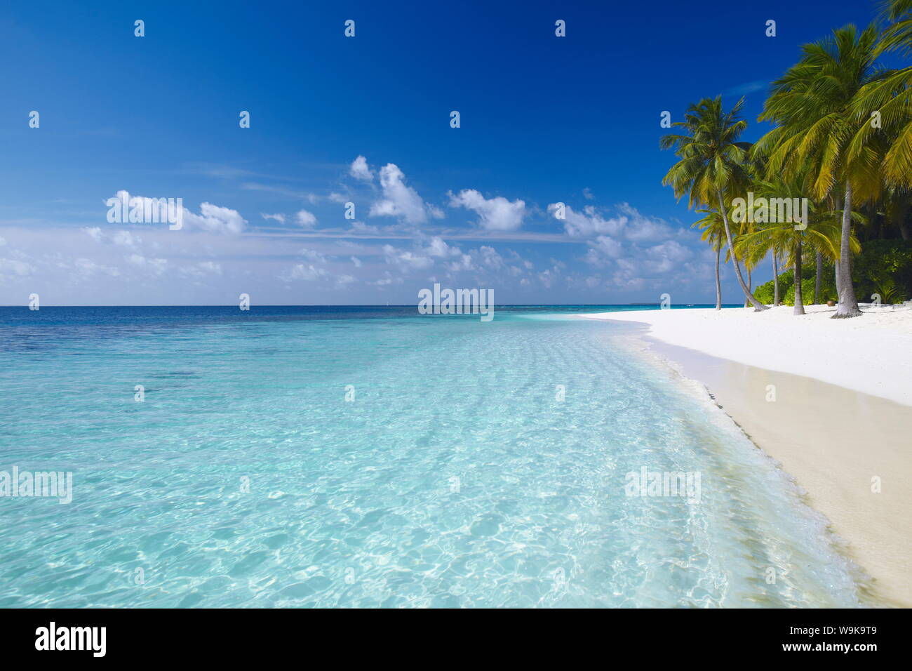 Tropische Insel und Strand, Malediven, Indischer Ozean, Asien Stockfoto