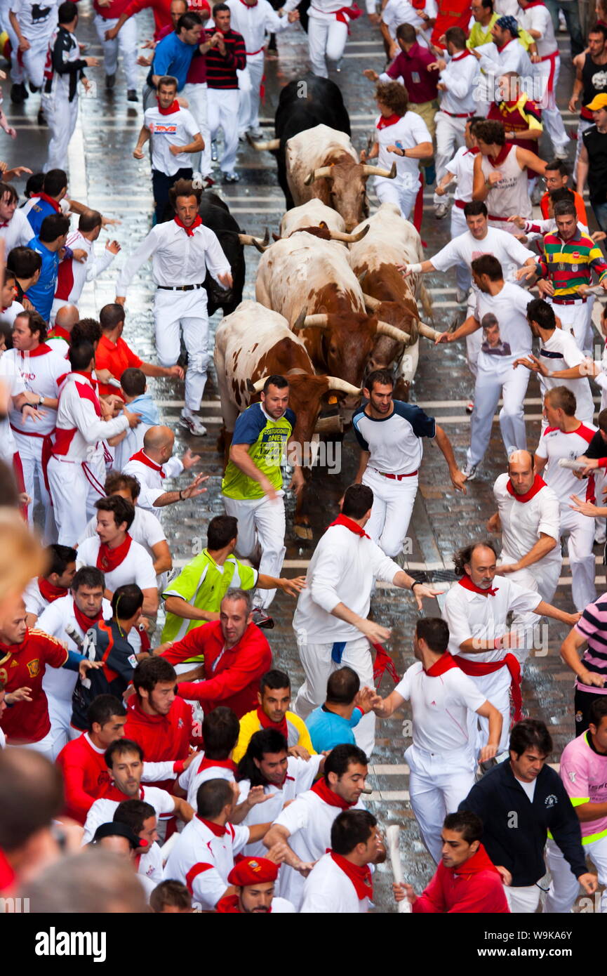 Laufen der Stiere, San Fermin Festival, Pamplona, Navarra (Navarra), Spanien, Europa Stockfoto