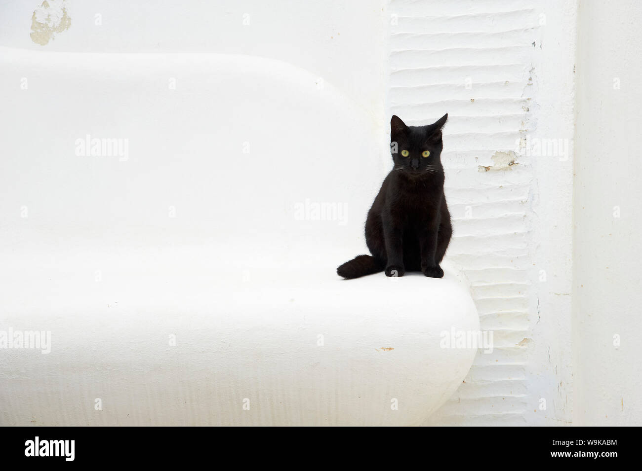 Katze, Ortschaft Pyrgos, Tinos, Cyclades, griechische Inseln, Griechenland, Europa Stockfoto