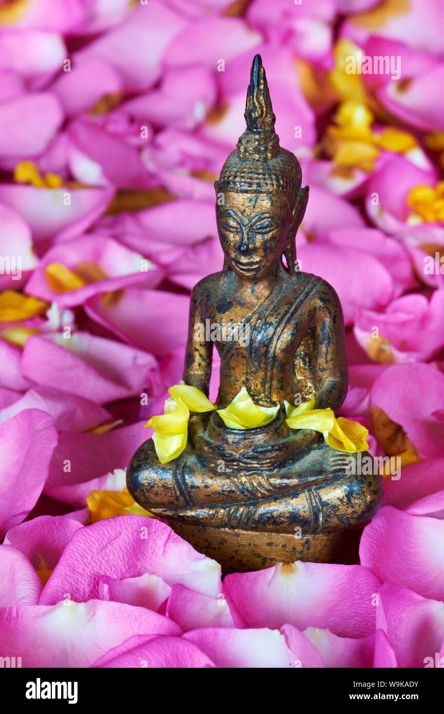 Statue von Buddha, Bangkok, Thailand, Südostasien, Asien Stockfoto