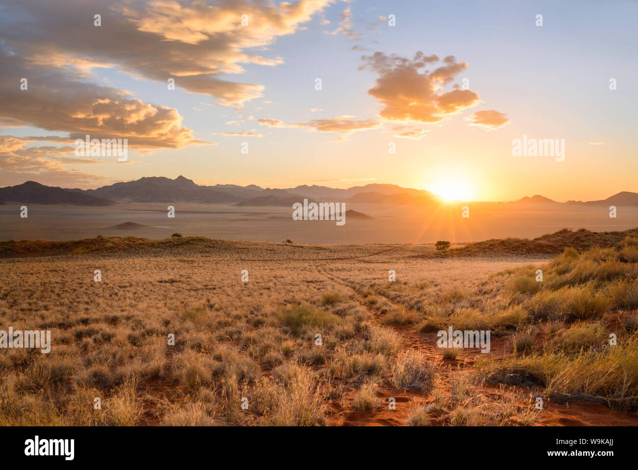 Sonnenuntergang am NamibRand Nature Reserve, Namib-Wüste, Namibia, Afrika Stockfoto