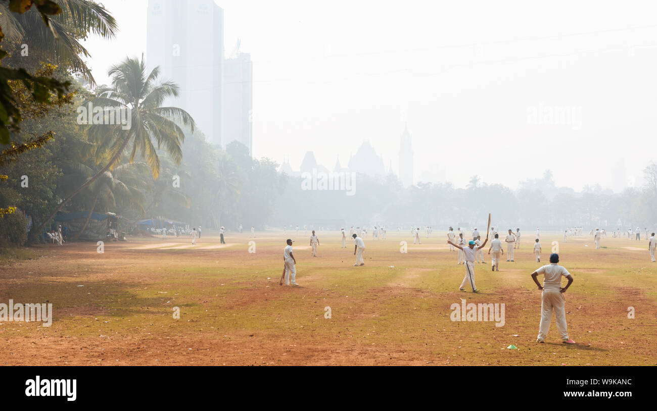 Kricket an Oval Maidan, Mumbai (Bombay), Indien, Südasien Stockfoto