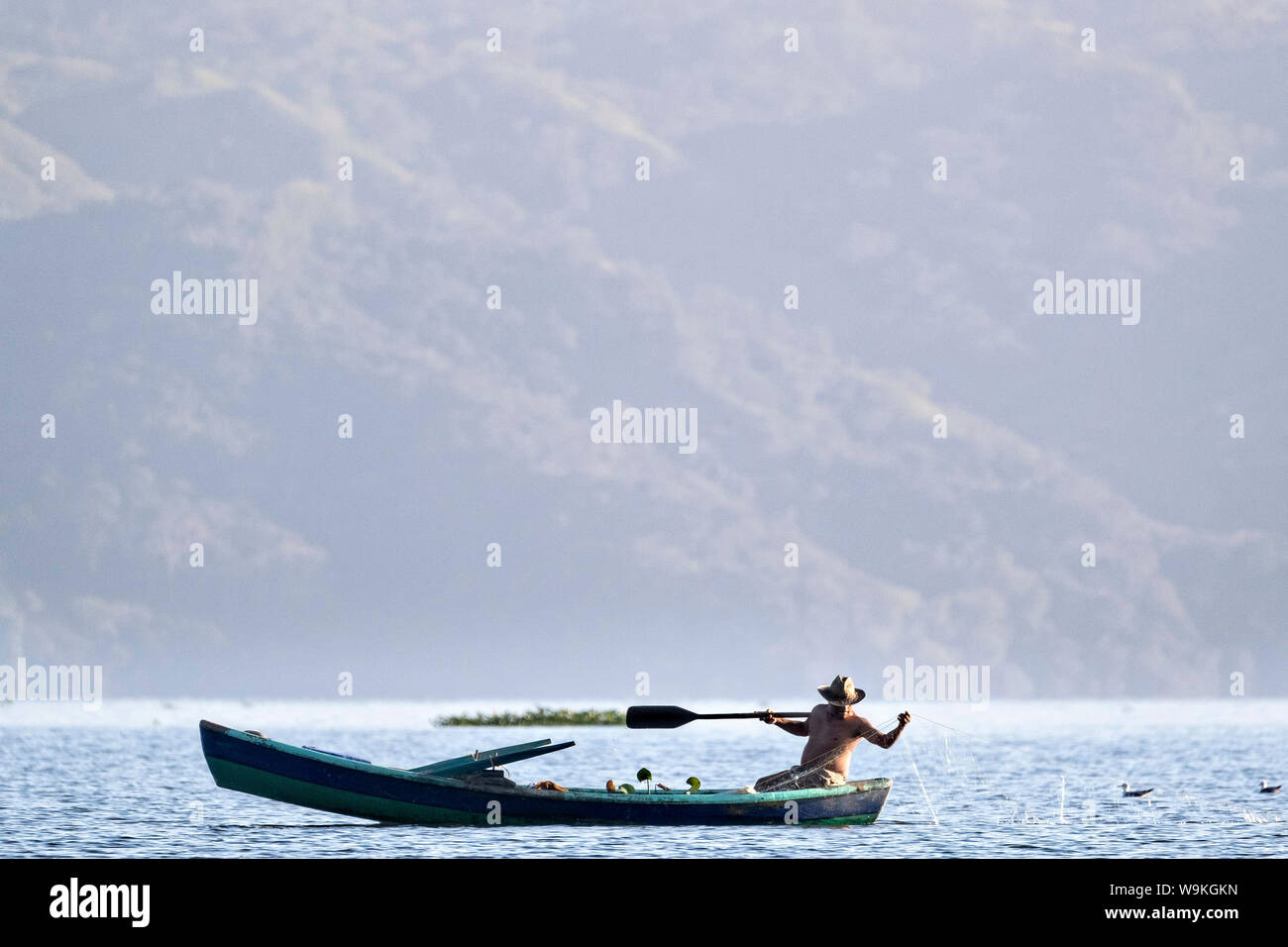 Ein Fischer zieht in seinem Netz, als er die Zeilen an der Lagune in der Nähe von Sontecomapan Sontecomapan, Veracruz, Mexiko. Die Lagune, die fliesst in den Golf von Mexiko ist eines der am besten erhaltenen Feuchtgebiete im Küstenbereich und Mangroven Wälder in Mexiko und ein Teil der Los Tuxtlas Biosphärenreservat. Stockfoto