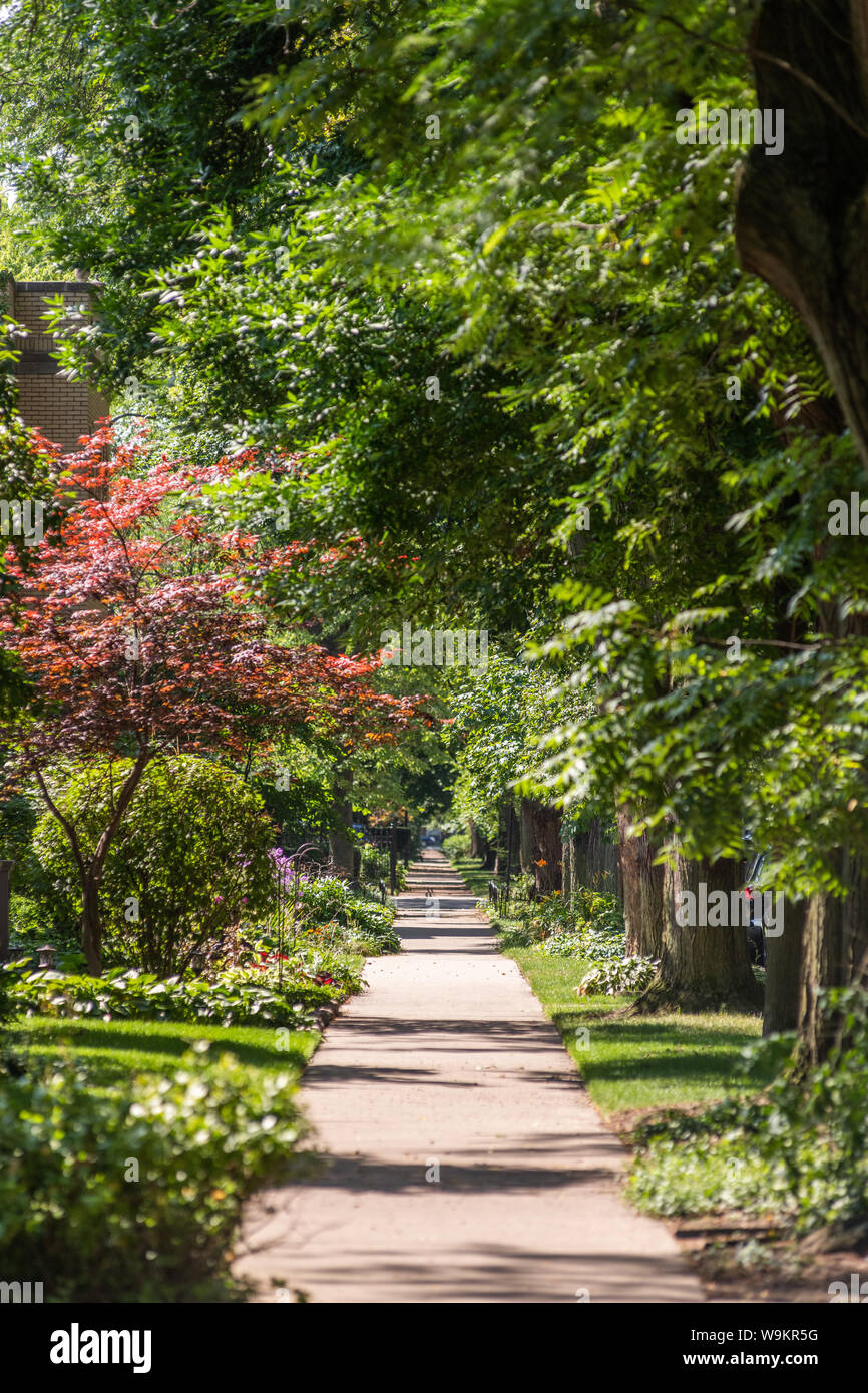 Mit Bäumen gesäumten Straße in der Lakewood Balmoral Nachbarschaft Stockfoto
