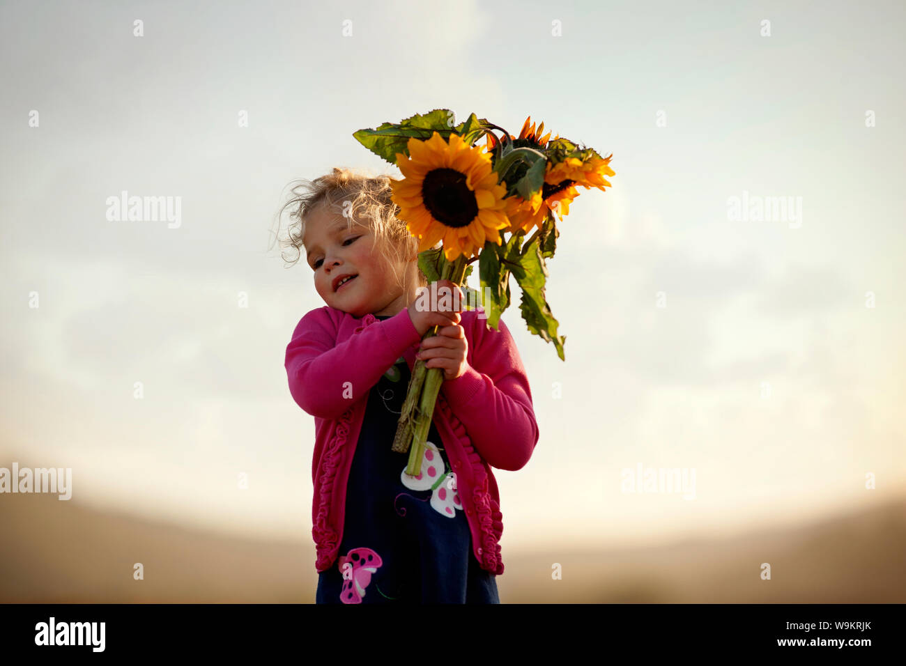 Junges Mädchen mit Sonnenblumen. Stockfoto