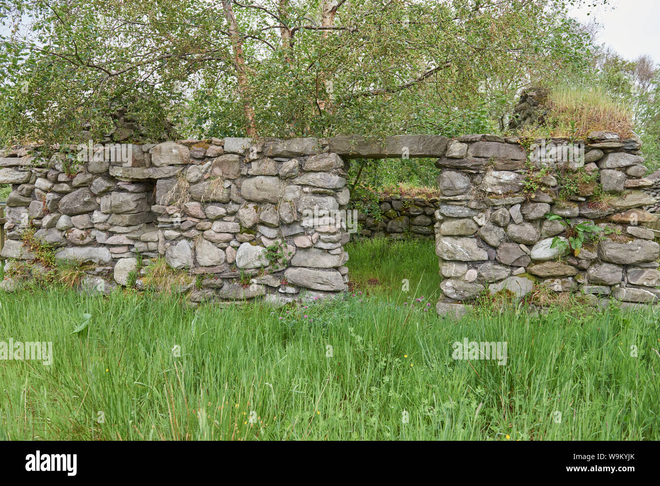 Irland Reise (Mai 19-29, 2019) Kerry Bog Village am Ring of Kerry. Alte Steinmauer Stockfoto