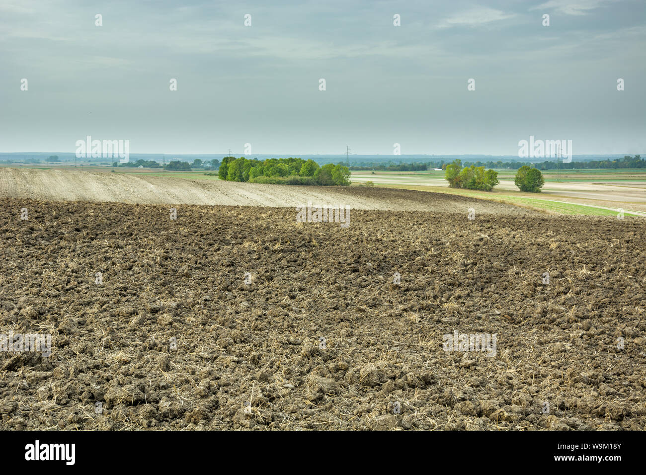 Große gepflügten Feldes, Bäume am Horizont und bewölkter Himmel. Staw, Polen Stockfoto