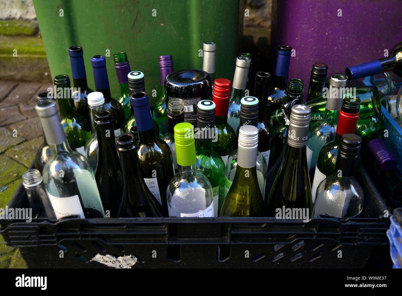 Eine Auswahl von leer Wein und Bier Flaschen dargestellt, die für das Recycling in Brighton, East Sussex, UK. Stockfoto