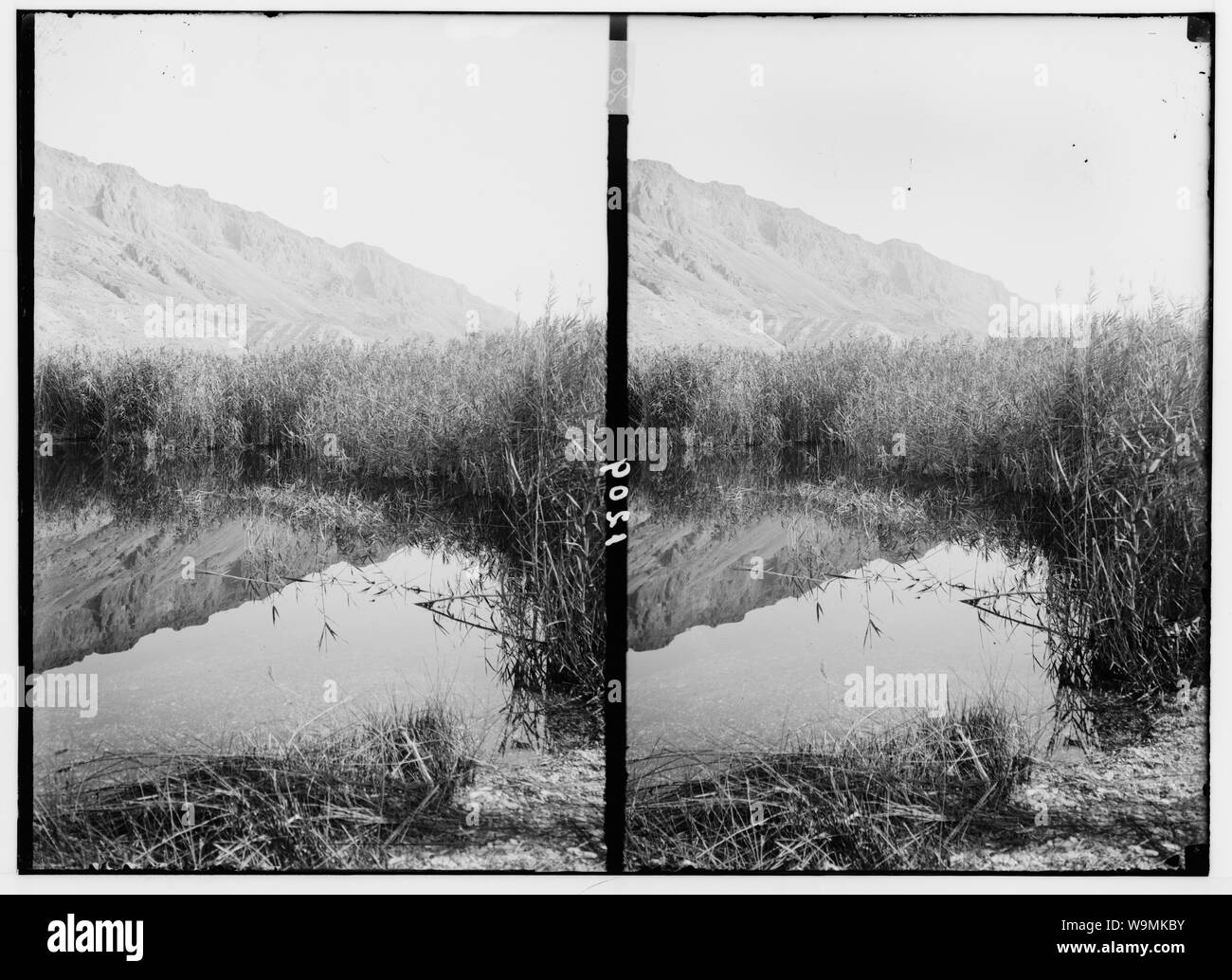 Um das Tote Meer. Feder'Ain Feshkha Stockfoto