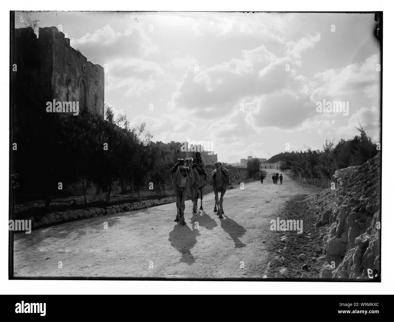 Rund um die Stadtmauer [Jerusalem]. Gordon's Leidensweg und der Nordwand. Beduinen Kamele im Vordergrund Stockfoto