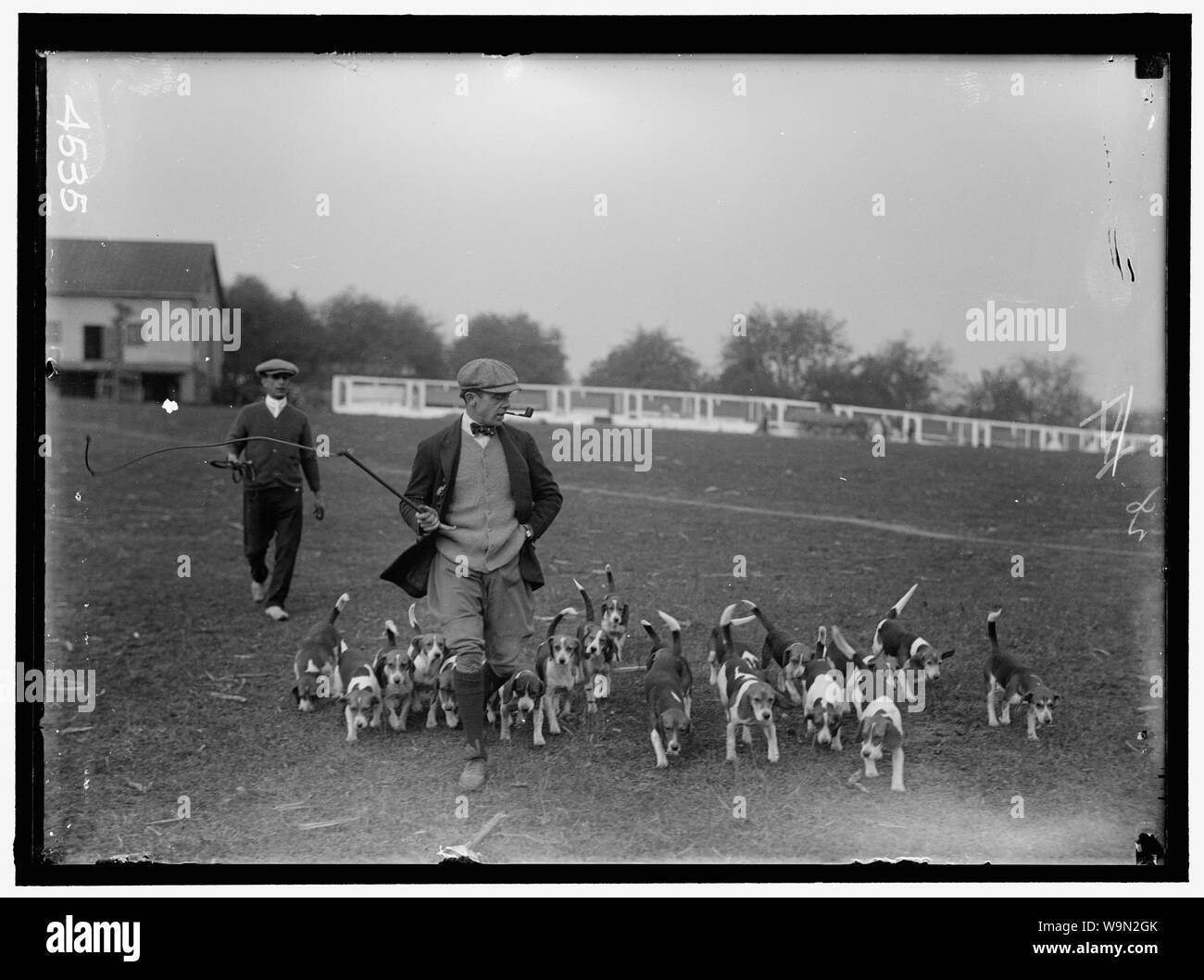 BELMONT, Raymond. Nationale BEAGLE CLUB VON AMERIKA Stockfoto
