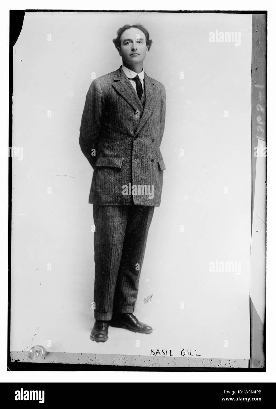 Basilikum Gill Stockfoto