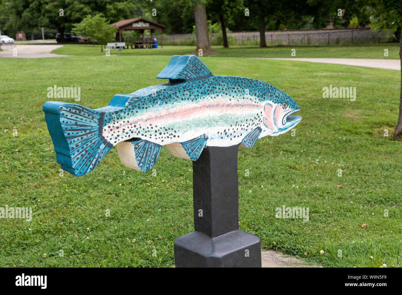 Fisch Ausschnitt in Neosho National Fish Hatchery Stockfoto