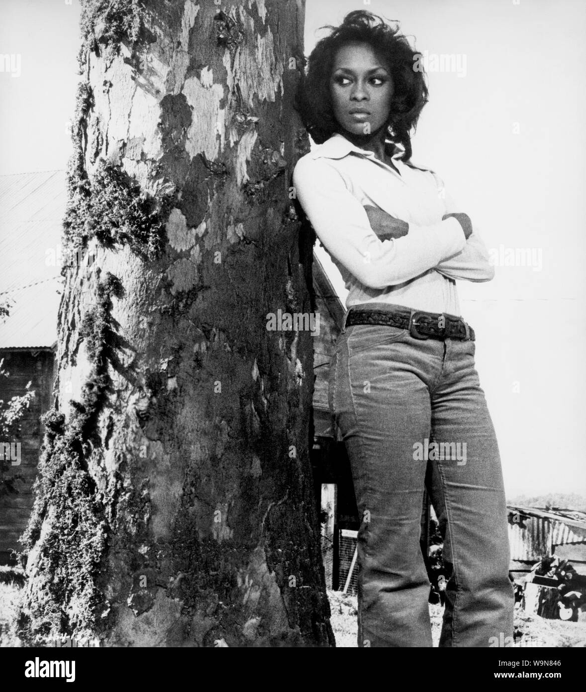 Lola Falana, auf - der Film", die "Klansman, Paramount Pictures, 1974 Stockfoto