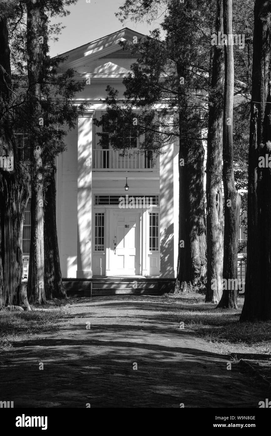 Der Eingang zum Pulitzer Prize winning Autor, William Faulkner's Home, eine primitive griechischen Revival Design, wie Eberesche Eiche in Oxford, MS bekannt Stockfoto