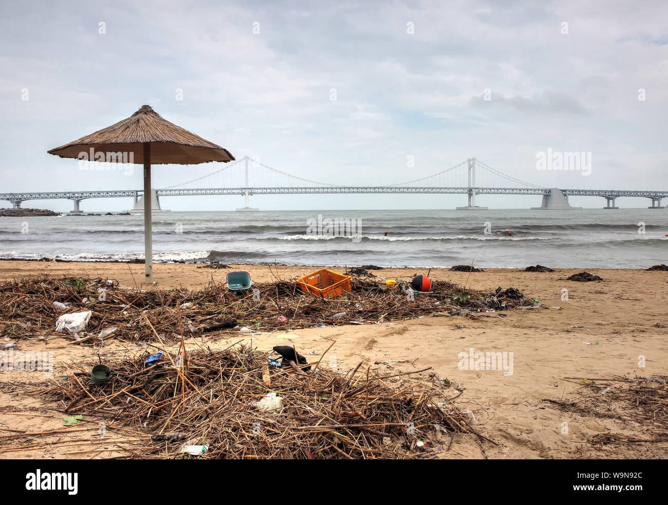 Umweltverschmutzung erscheinen an gwangalli Strand nach typoon, Busan, Südkorea, Asien Stockfoto