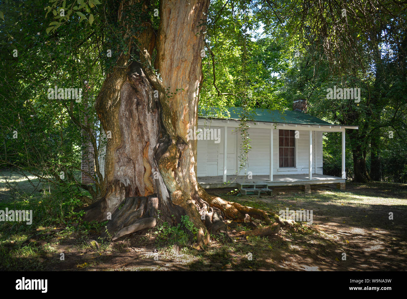 Pulitzer Prize winning Autor, William Faulkner, gebaut Dieses kleine Haus auf dem Gelände der ursprünglichen sklavenvierteln an Rowan Oak, Oxford, MS Stockfoto