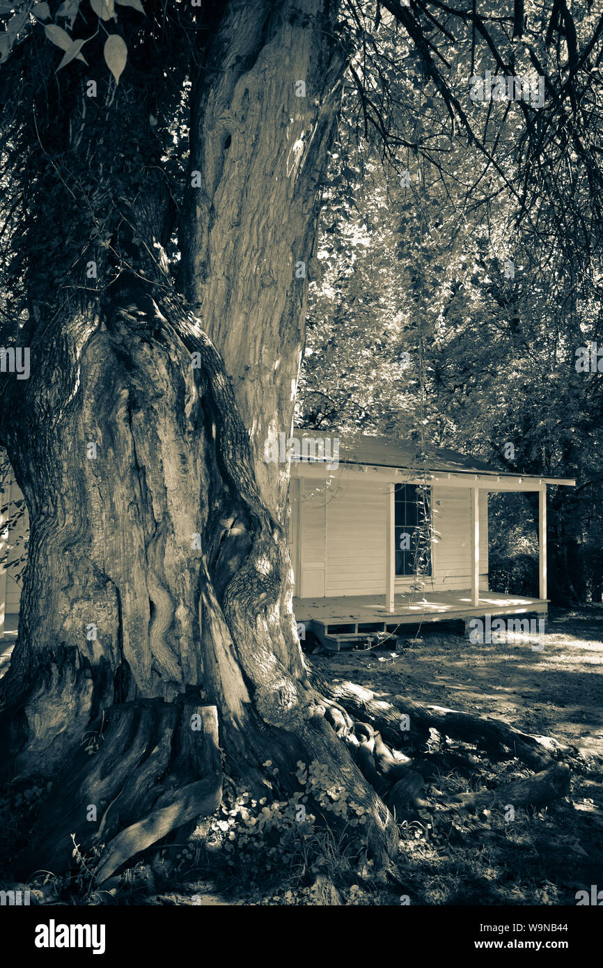 Pulitzer Prize winning Autor, William Faulkner, gebaut Dieses kleine Haus auf dem Gelände der ursprünglichen sklavenvierteln an Rowan Oak, Oxford, MS Stockfoto