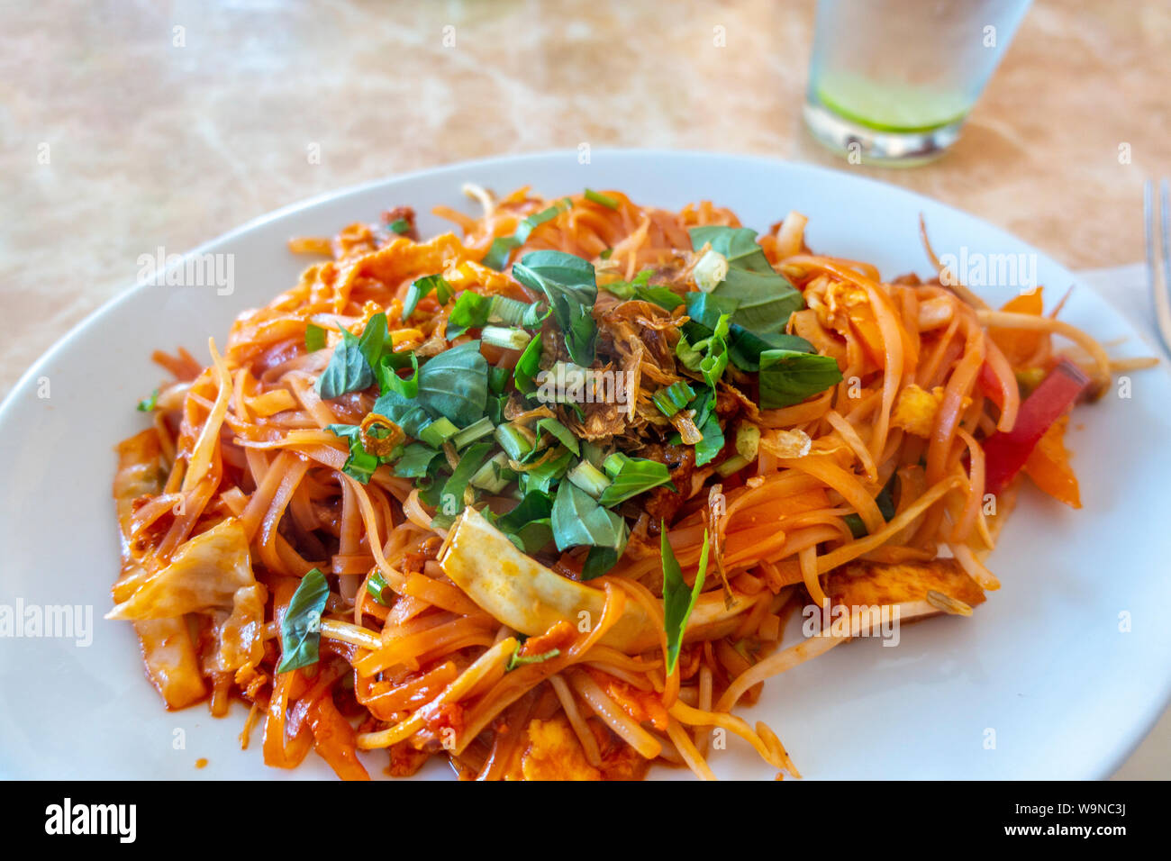 Vegetarische Pad Thai Dinner mit frischem Koriander und ein Glas Eiswasser Stockfoto