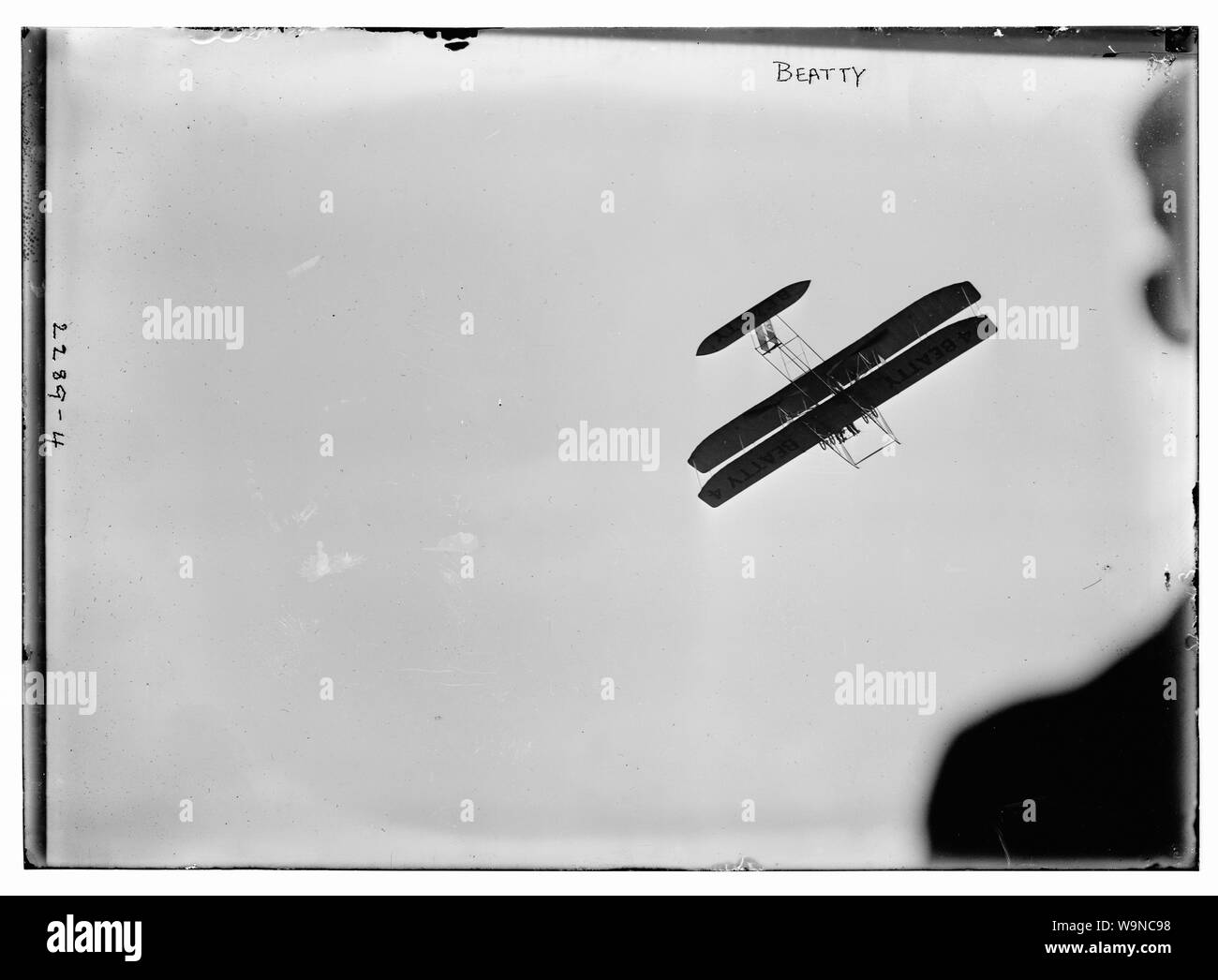 Beatty [fliegen] Stockfoto