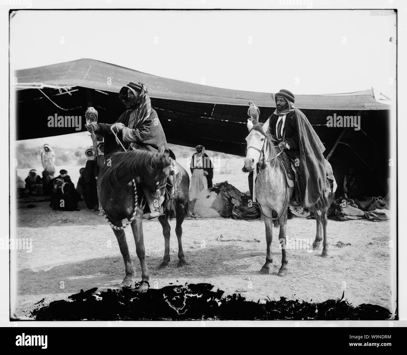 Bedouin Männer zu Pferd mit Falken Stockfoto