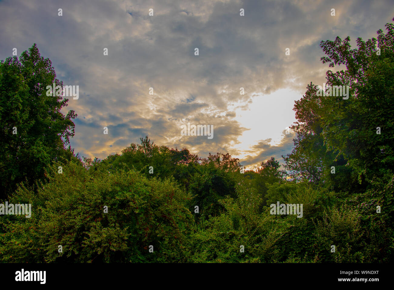 Am frühen Morgen die Sonne Stockfoto