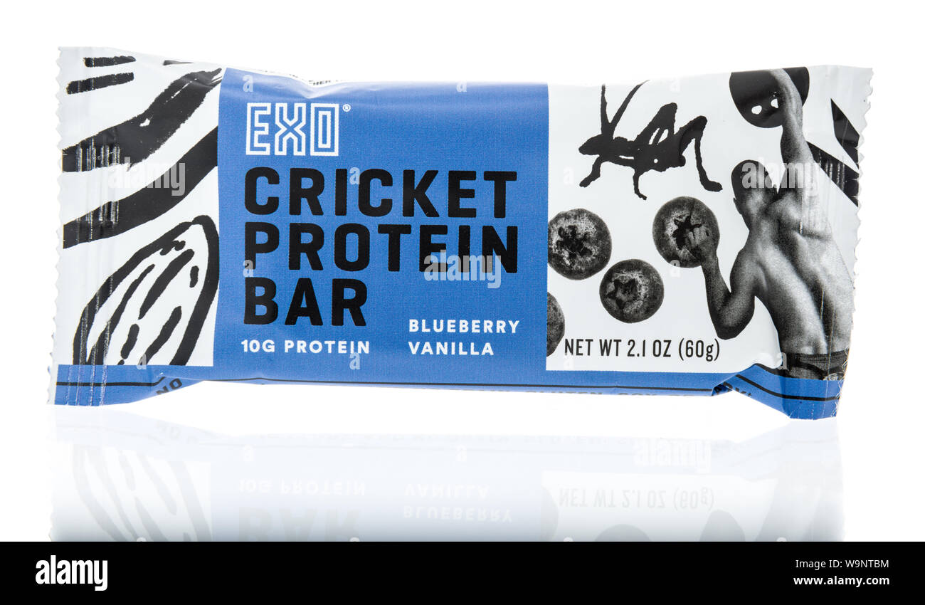 Winneconne, WI - 4. August 2019: ein Paket von EXO cricket Protein Bar auf einem isolierten Hintergrund Stockfoto