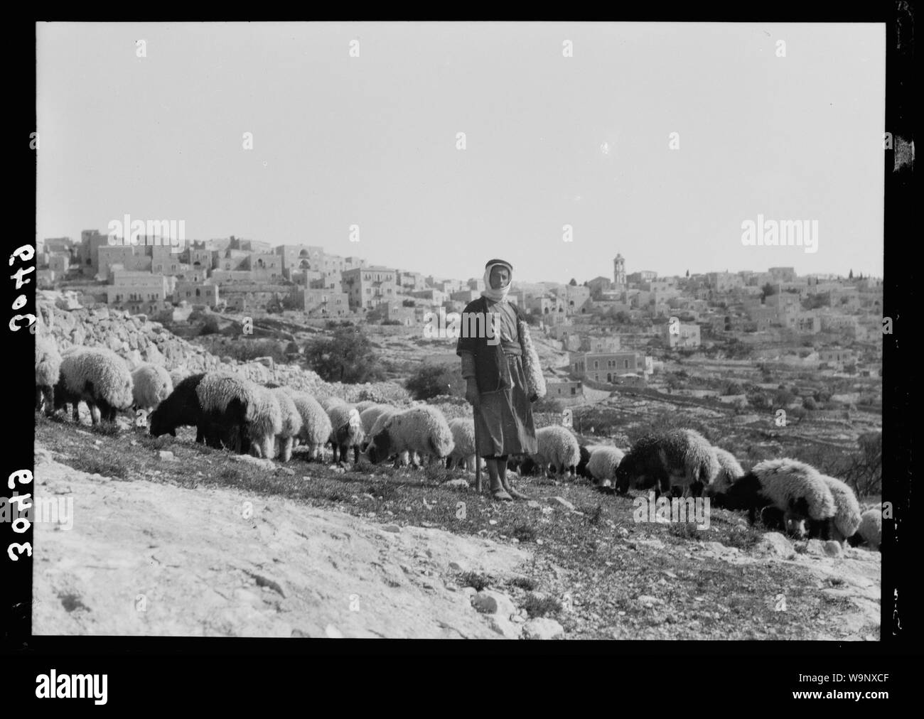 Bethlehem und Umgebung. Bethlehem Hirten. Aus dir soll mir kommen, der mein Volk Hirte wird Stockfoto