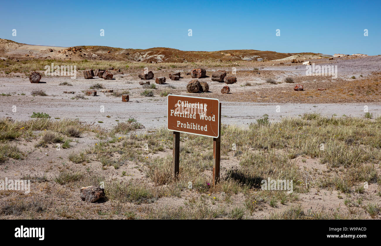 Petrified Forest National Park, Colorado, USA von Amerika. Warnschild, sammeln versteinertes Holz untersagt. Gemalte Wüste Landschaft, sonniger Frühlingstag Stockfoto
