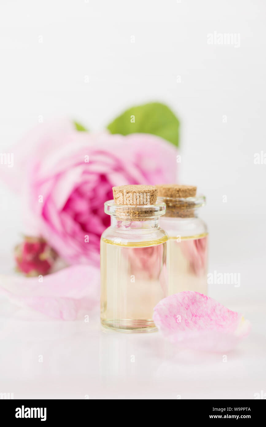 2 Durchstechflaschen mit ätherischen Öl- und rosa Rose flowe sind auf weißem Hintergrund Stockfoto