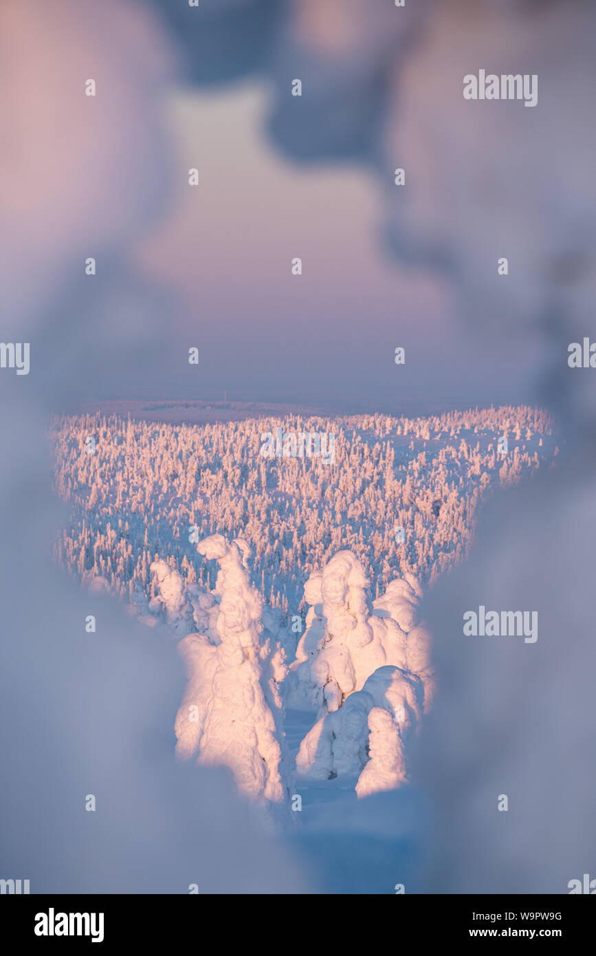 Vertikale Bild von riisitunturi Landschaft im Winter durch ein Loch von Schnee gesehen verpackt Baum in der Nähe von Kuusamo, Posio, Finnland Stockfoto