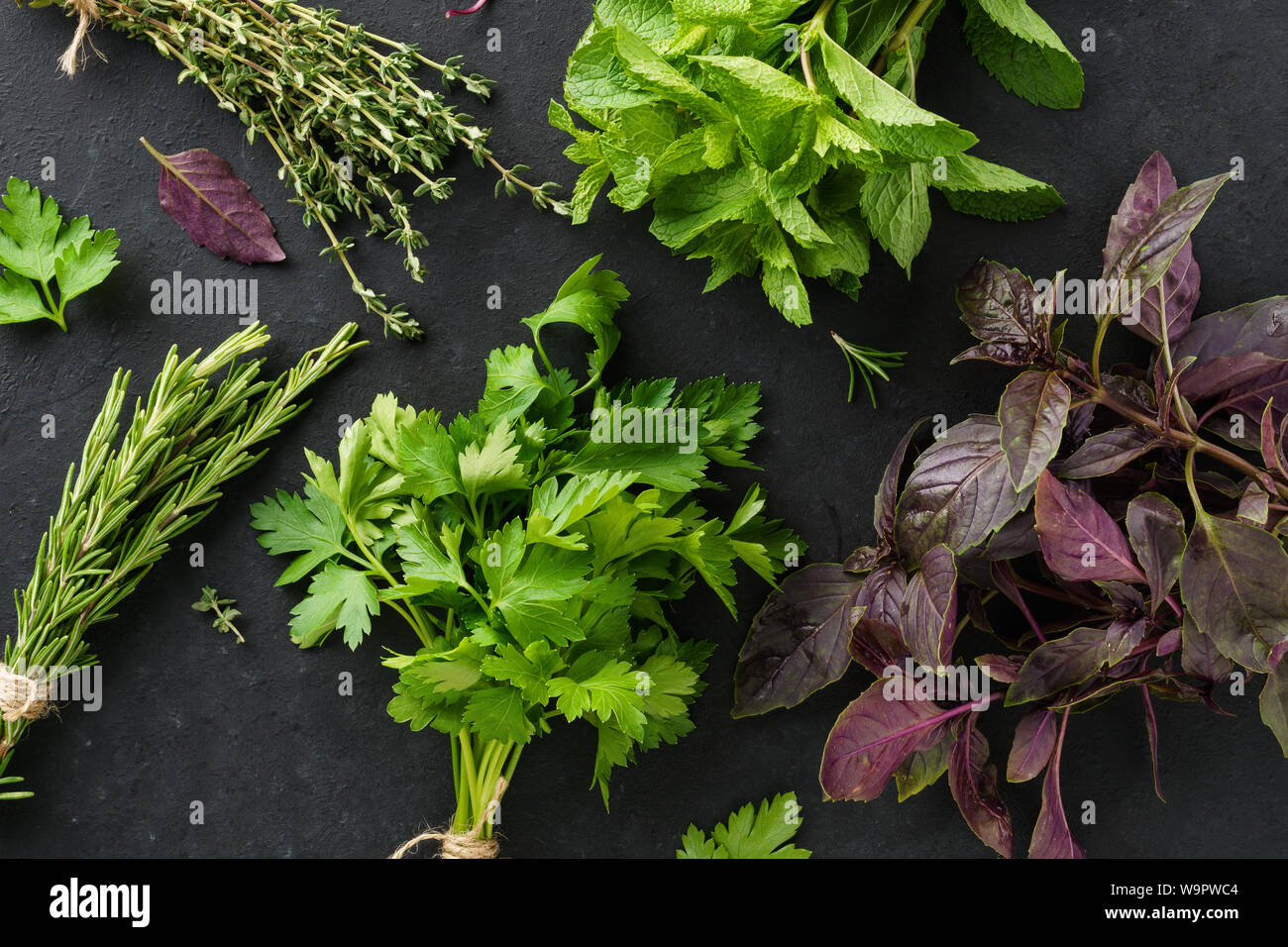 Trauben von verschiedenen frischen Kräutern auf schwarzem Hintergrund. Rosmarin, Petersilie, Thymian, Minze und Basilikum. Stockfoto