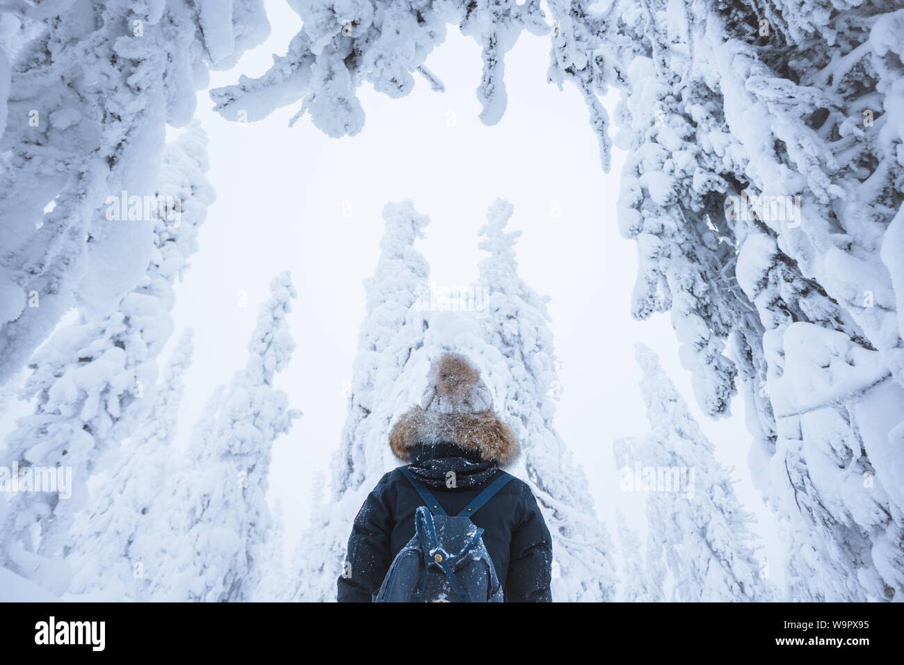 Mädchen suchen, um sich über schneebedeckte Bäume im Koli Nationalpark, Finnland Stockfoto