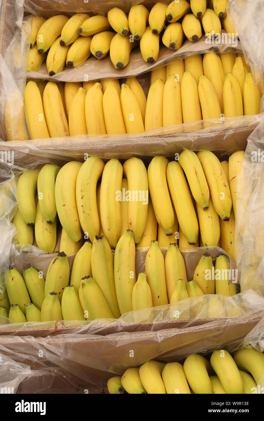 Viele reife Bananen auf der Box zum Verkauf am Markt Stockfotografie - Alamy