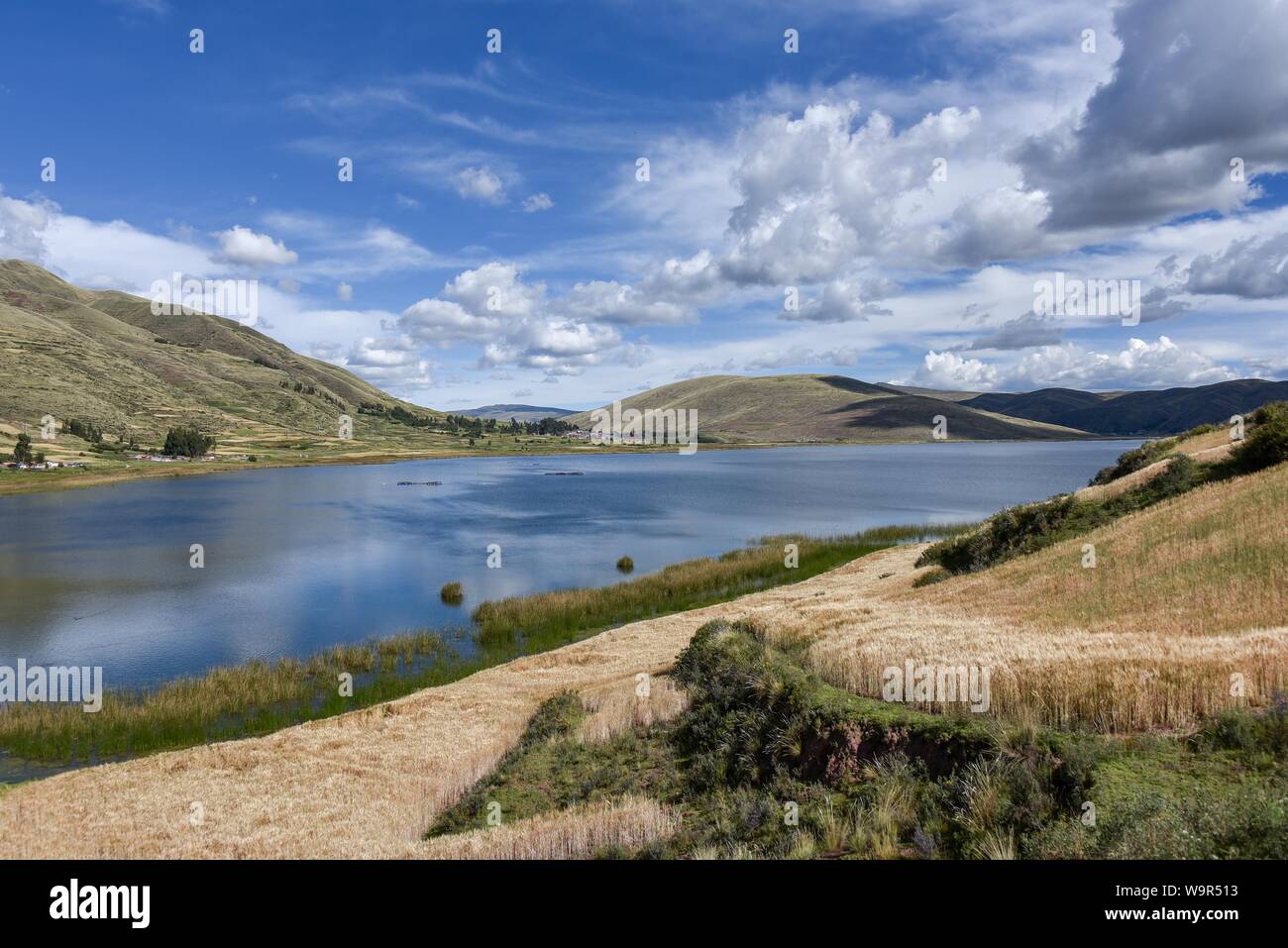 Felder mit Reife Getreide, Hochland mit Laguna Pampamarca, in der Nähe von Cusco, Peru Stockfoto