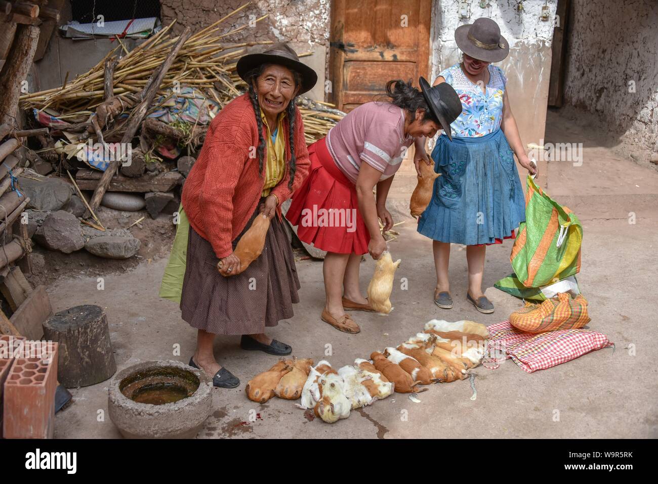 Lokale Frauen töten, riesige Cuys Meerschweinchen für die Vorbereitung auf die traditionellen Cuy Teller, Cusco, Peru Stockfoto