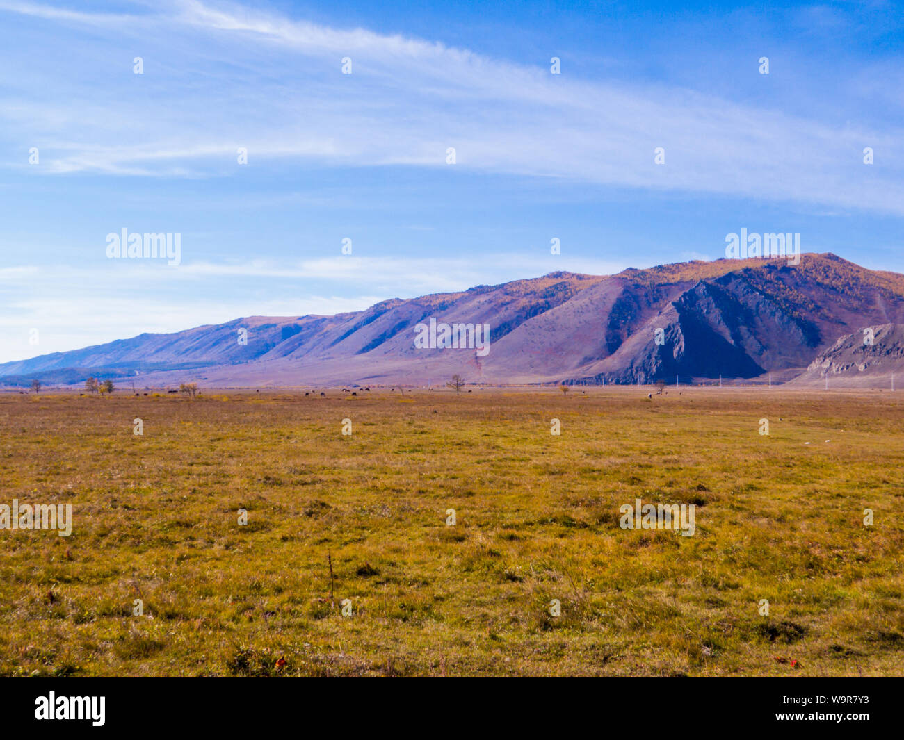 Kap Uyuga, Kurma, Baikalsee, Sibirien, Russland Stockfoto