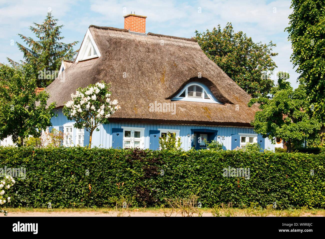 Reetdachhaus, Wieck am Darss, Mecklenburg Vorpommern, Deutschland Stockfoto