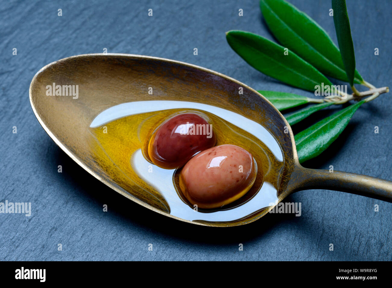 Oliven und Olivenoel in Firma Loeffel, griechischen Oliven aus Amphissa, Panorama, Amphisis-Oliven Stockfoto