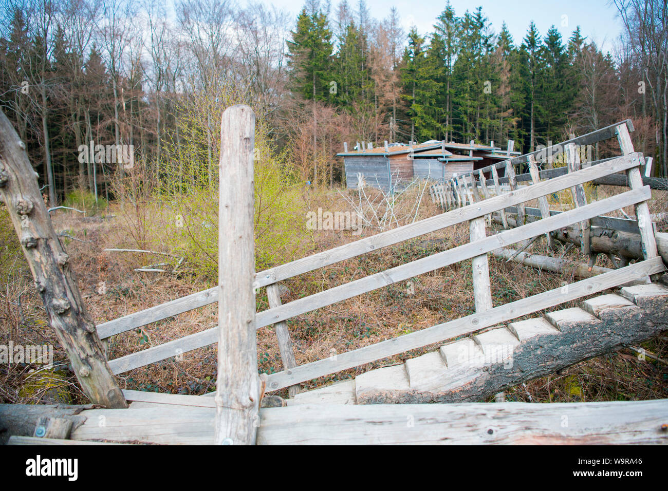 Erfahrung Parcour, Natur Discovery Trail, Nationalpark Eifel, Nordrhein-Westfalen, Deutschland, Europa Stockfoto