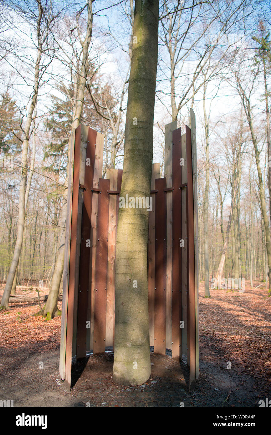 Modell erreichbar Stammumfang, Natur Discovery Trail, Nationalpark Eifel, Nordrhein-Westfalen, Deutschland, Europa Stockfoto