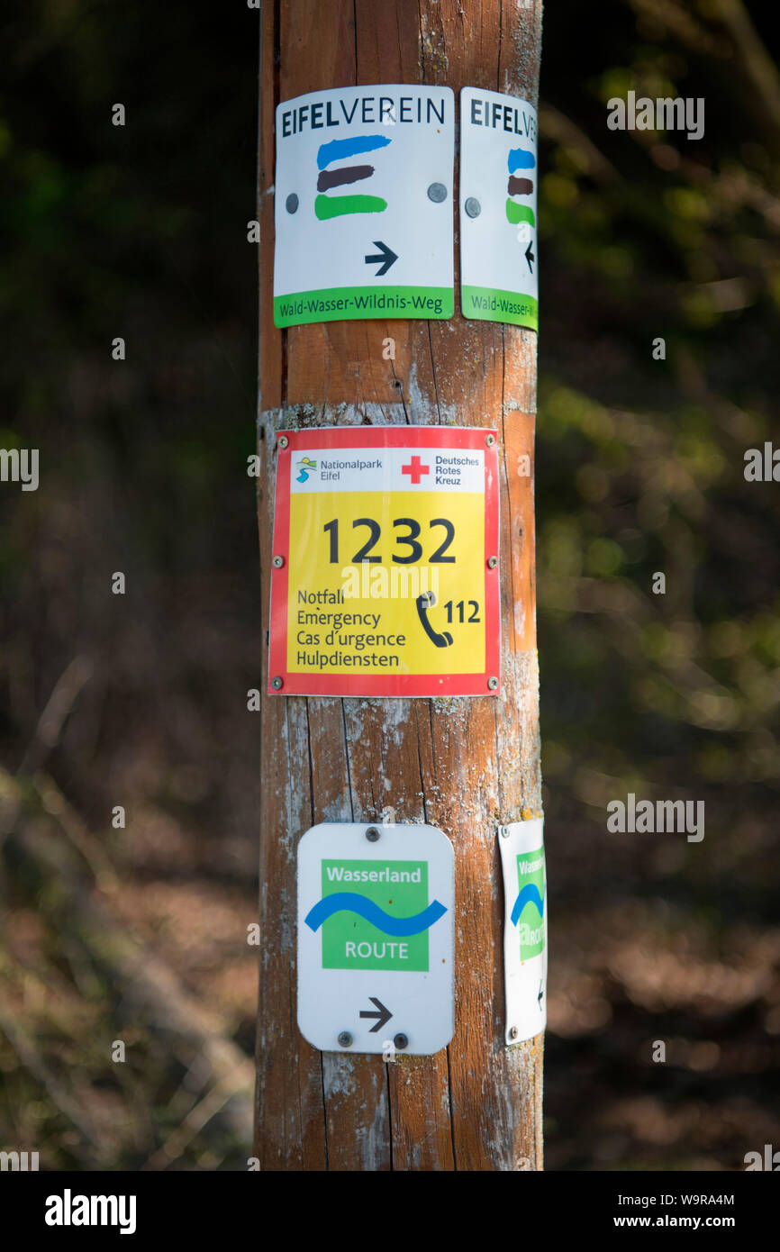 Zeichen- und Notfall-, Nationalpark Eifel, Nordrhein-Westfalen, Deutschland, Europa Stockfoto