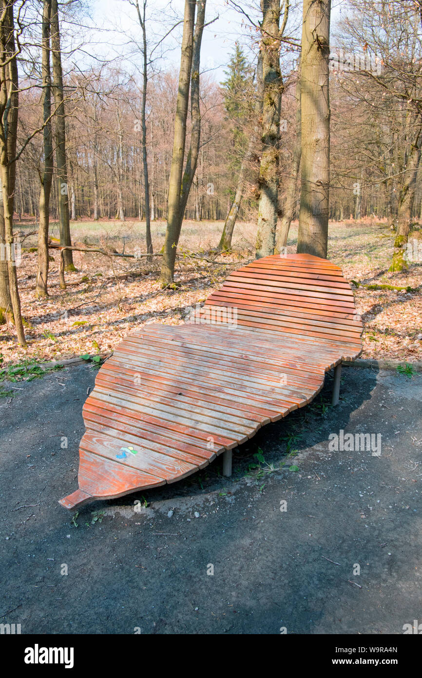 Liegestuhl, Nationalpark Eifel, Nordrhein-Westfalen, Deutschland, Europa Stockfoto