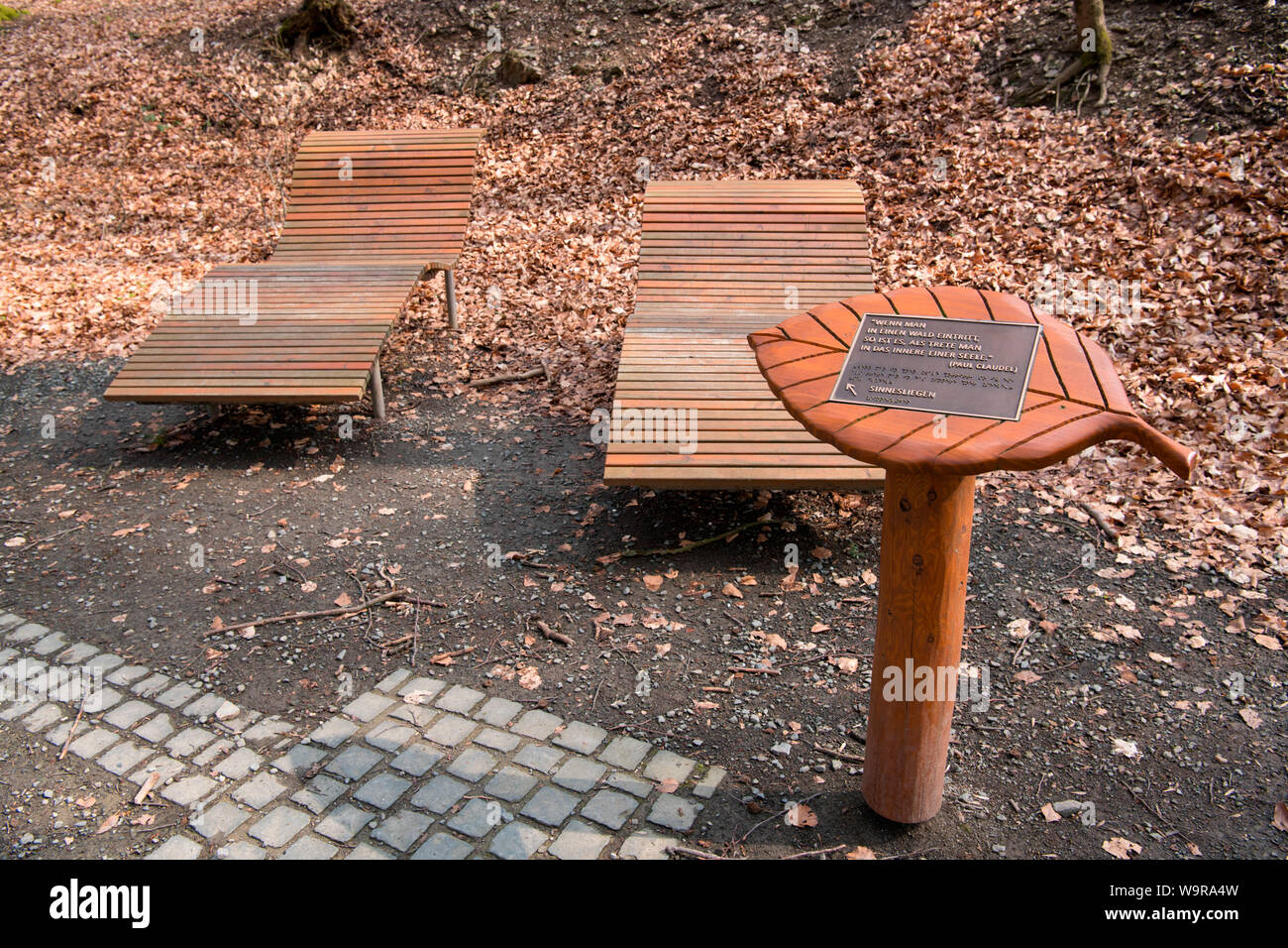 Liegestuhl, Nationalpark Eifel, Nordrhein-Westfalen, Deutschland, Europa Stockfoto