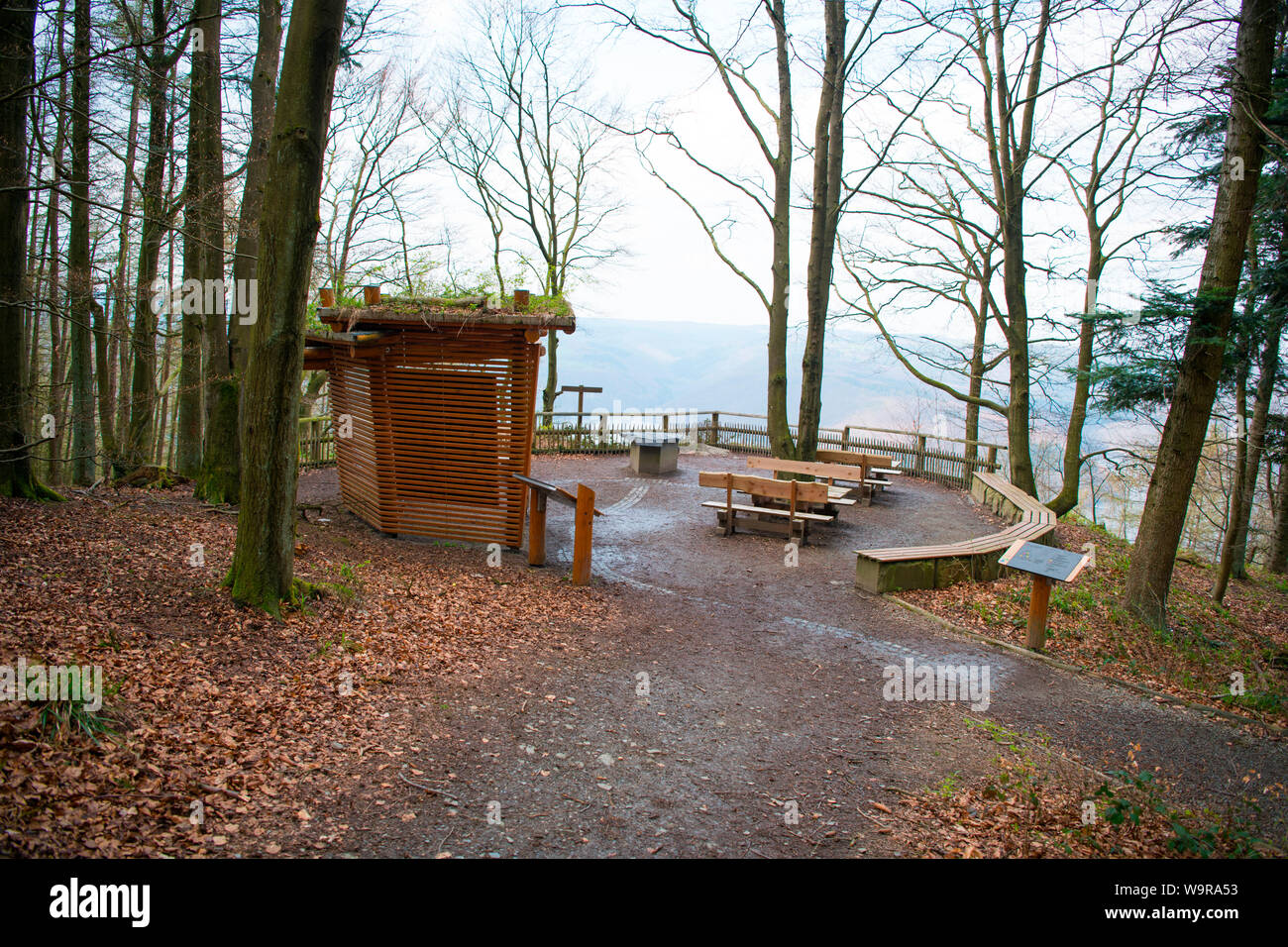 Aussichtspunkt Hirschley, Nationalpark Eifel, Nordrhein-Westfalen, Deutschland, Europa Stockfoto
