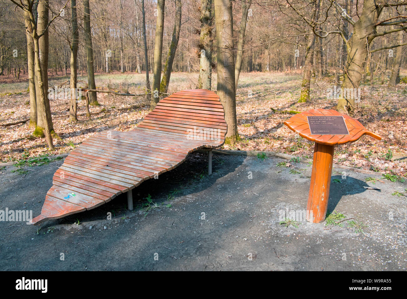 Liegestuhl, Nationalpark Eifel, Nordrhein-Westfalen, Deutschland, Europa Stockfoto