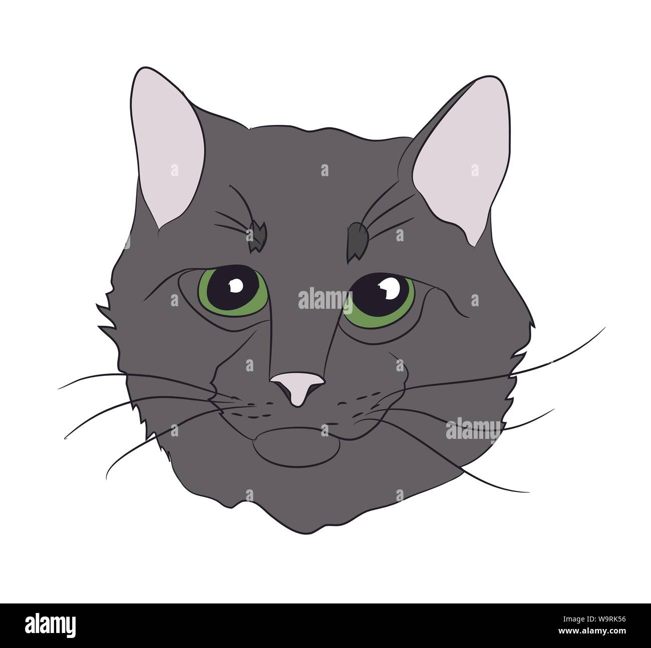 Katze Portrait, Vector, weißer Hintergrund Stock Vektor