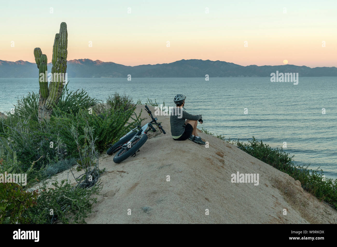 Mittelamerika, Mexico, Mexiko, Baja California, Sur, El Sargento, Meer von Cortez, Golf von Kalifornien, (Herr 0009) *** Local Caption *** Stockfoto