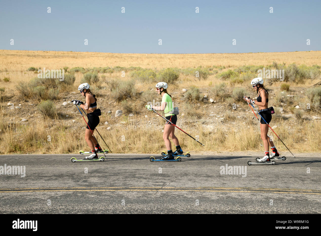 North America, American, USA, Great Basin, Utah, Antelope Island State Park, Nordic cross Skating *** Local Caption *** Stockfoto